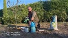Comment soigner naturellement ses fruitiers ?